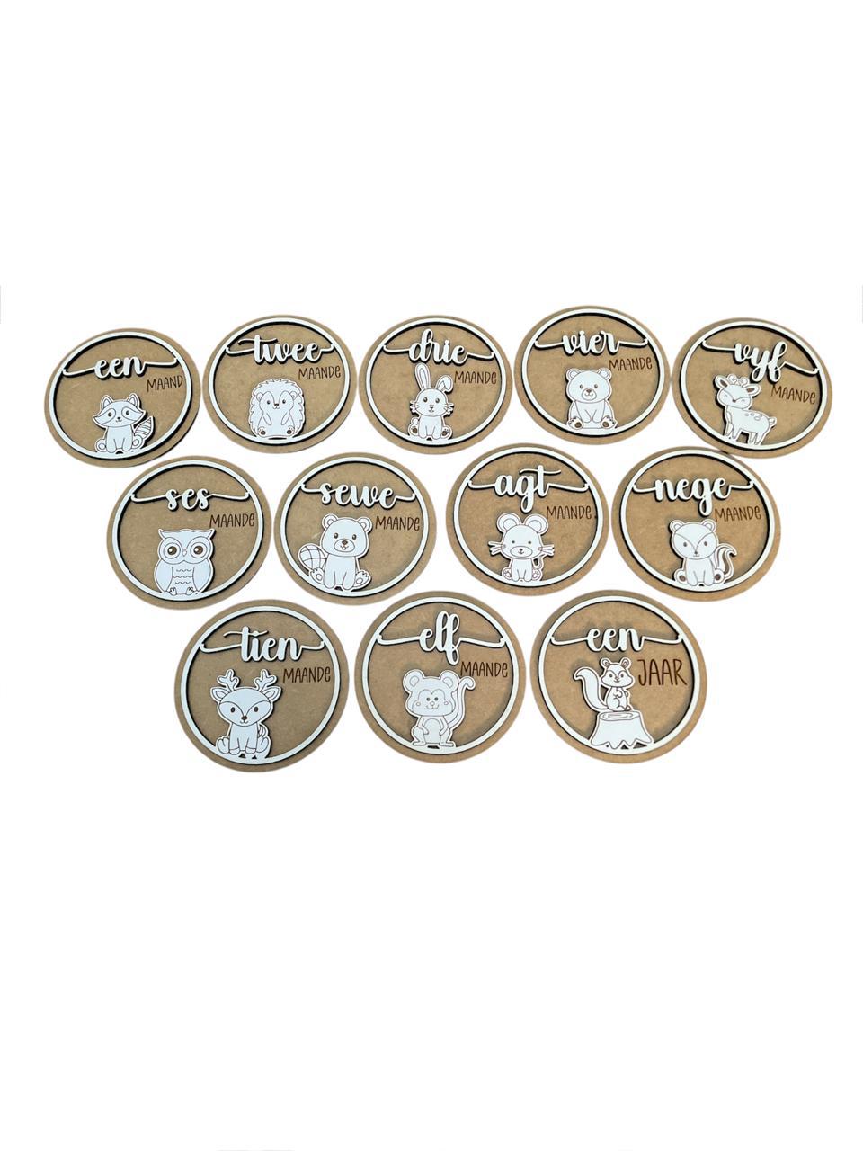 Baby Wooden Milestones in Box