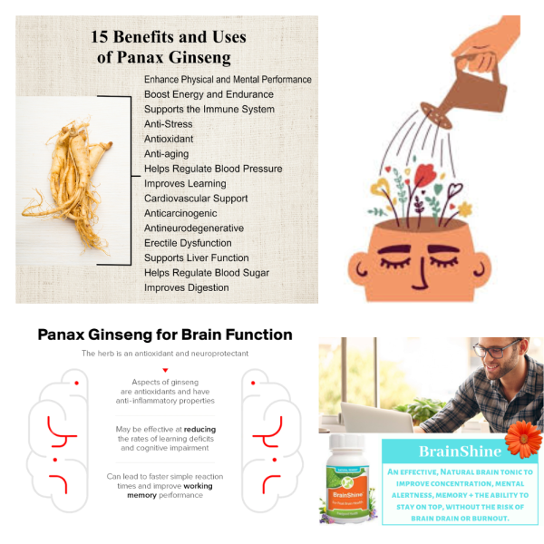 Feelgood BrainShine - Herbal Brain Tonic boosts memory & brain functioning