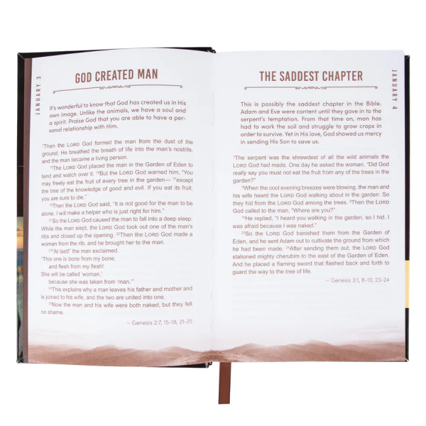 The Bible In 366 Days For Men Of Faith New Cover (Paperback)