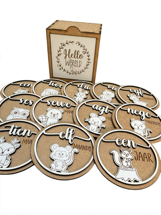 Baby Wooden Milestones in Box