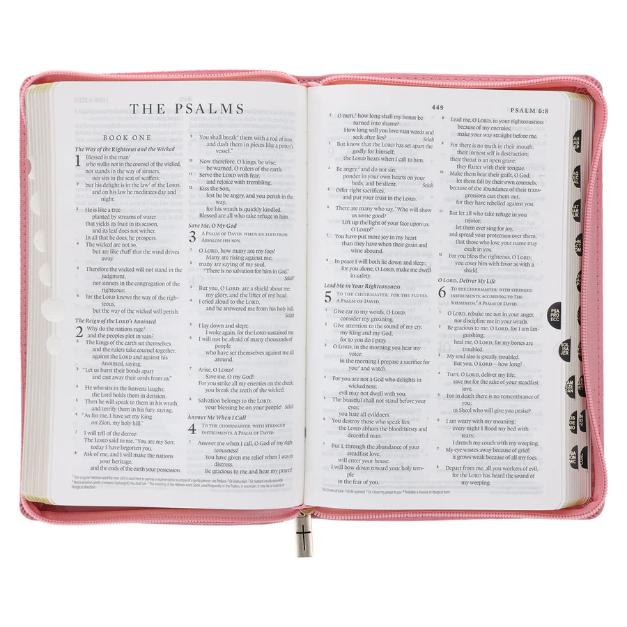 ESV Pink Floral Faux Leather Standard Bible with Zip
