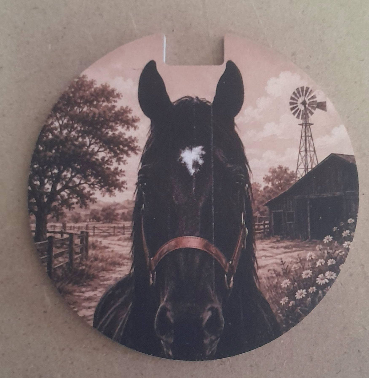 Personalized License Disc Holder
