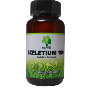 Big Tree - Sceletium Capsules Natural Mood Tonic