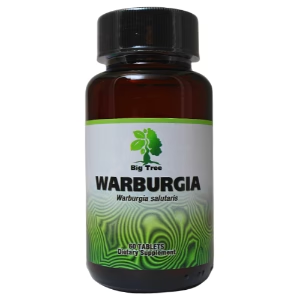 Big Tree - Warburgia Capsules: Natural Antibiotic & UTI Treatment